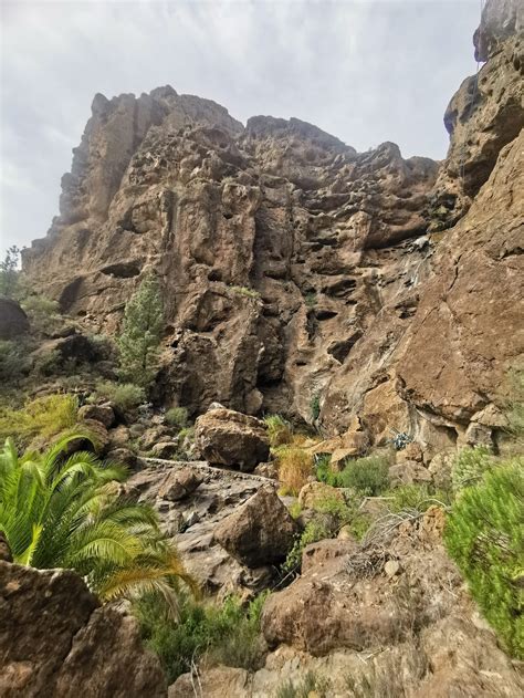 Wandern auf Gran Canaria: 7 traumhafte Wanderungen